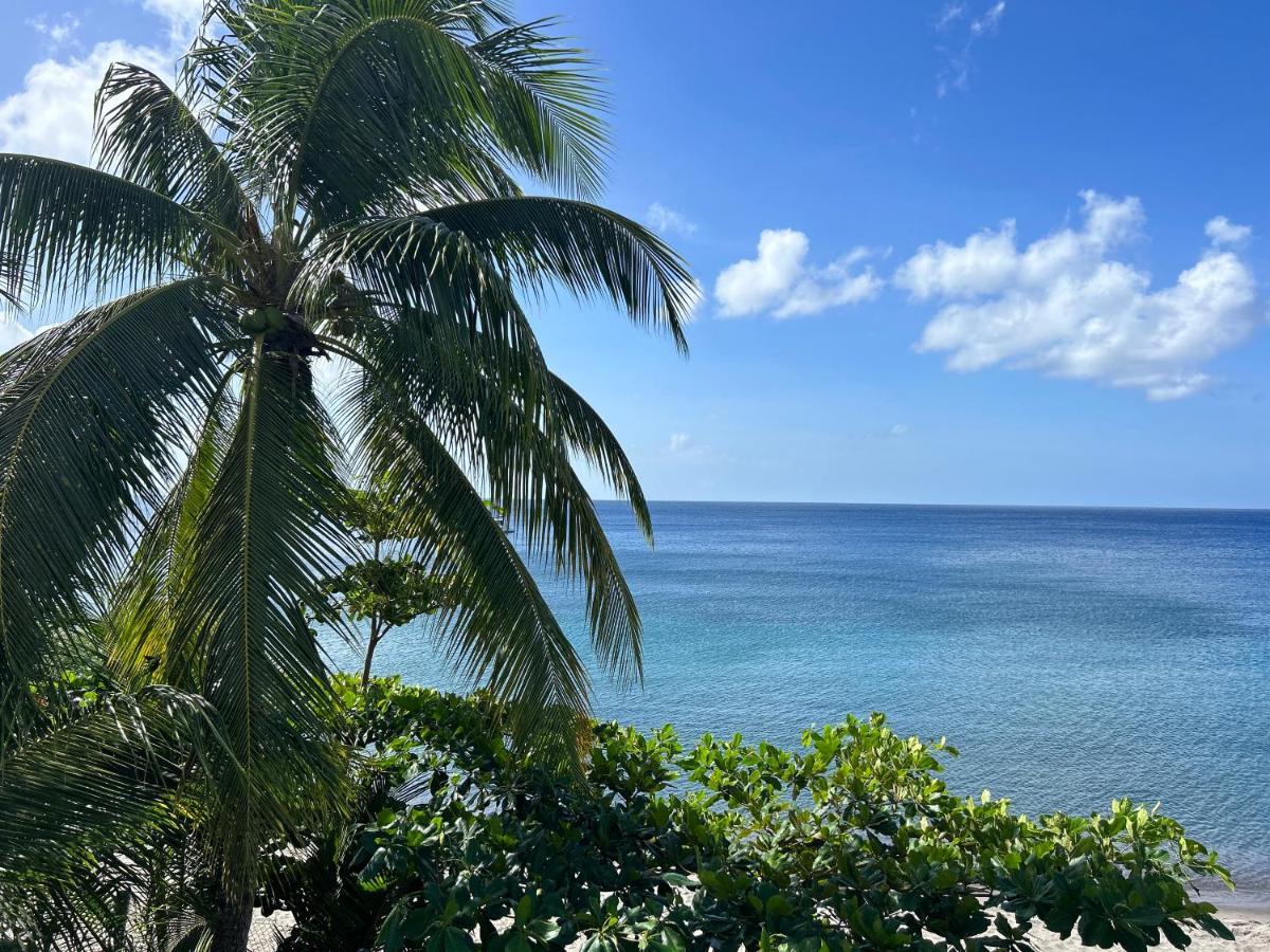 La Plage Martinique Schoelcher Εξωτερικό φωτογραφία