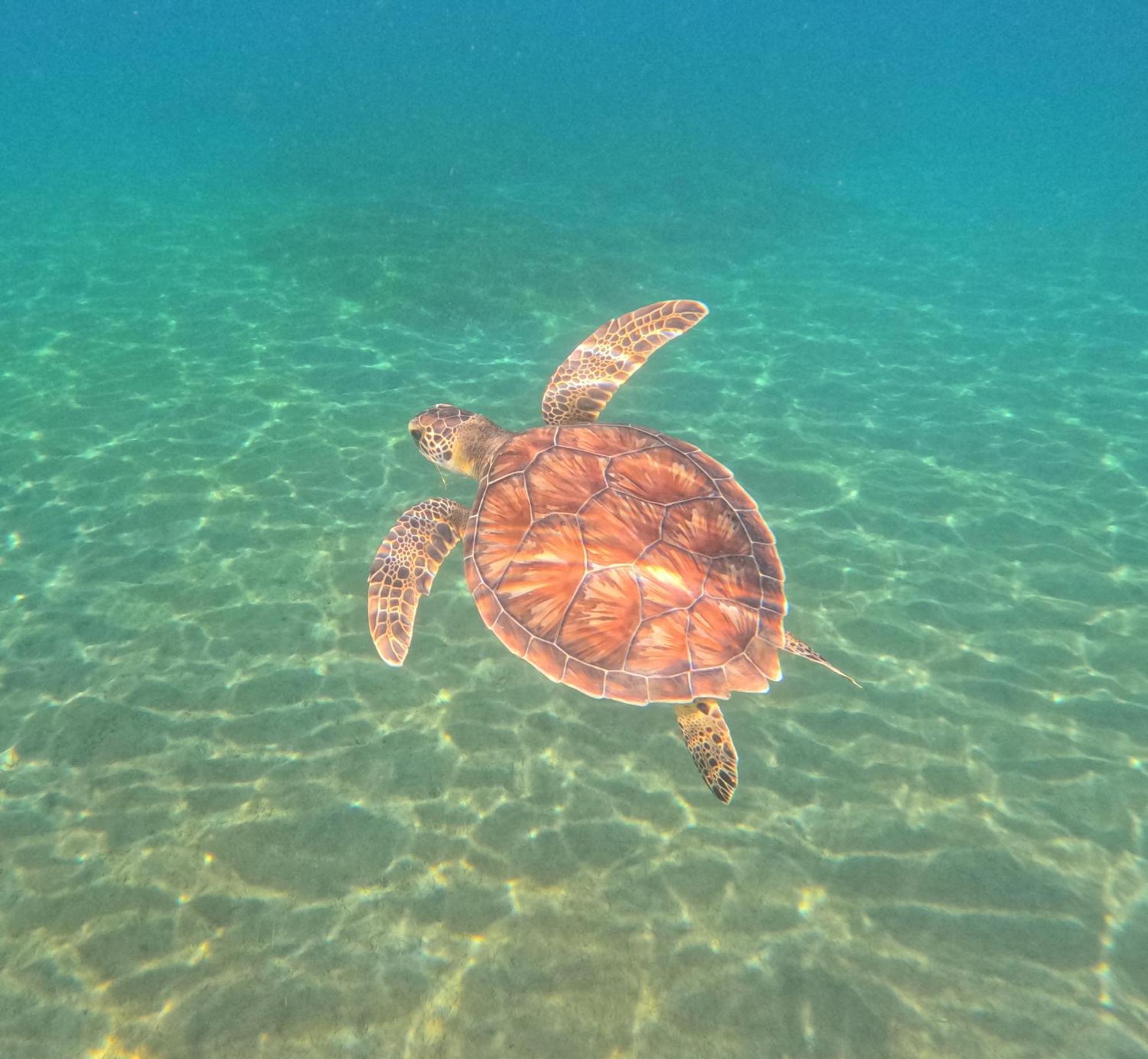 La Plage Martinique Schoelcher Εξωτερικό φωτογραφία